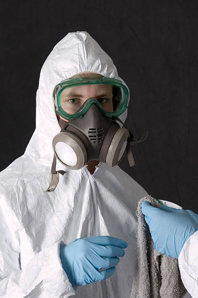 Mold Removal for HVAC Installations in Nevada, MO